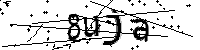 Anti-Bot verification code image